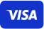 Visa - metoda płatności w MineDrop